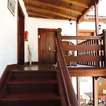 Helechos Agulo