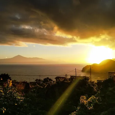 Helechos Landsted Agulo