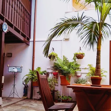 Helechos Casa rural Agulo